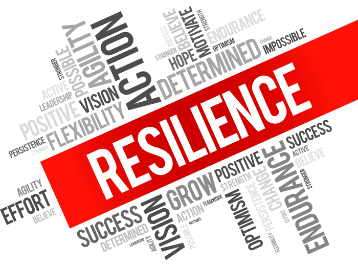 Supply Chain Resilience After COVID