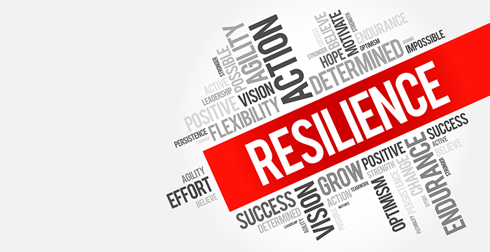 Resilience and Risk Management in Supply Chain: Navigating Uncertainty