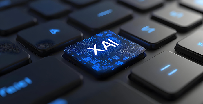 Explainable AI (XAI) for Transparent Supply Chain Decision Making