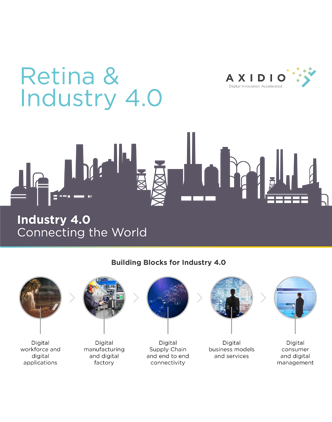 retina and industry 4.0
